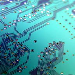 Julia - Creative Director